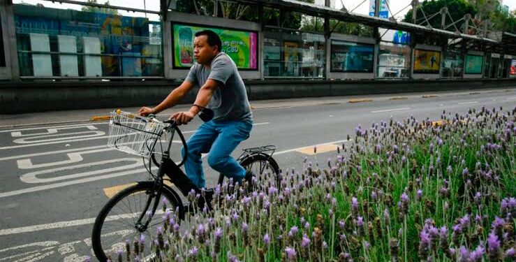 Ciclistas en peligro en la CDMX, alerta diputado