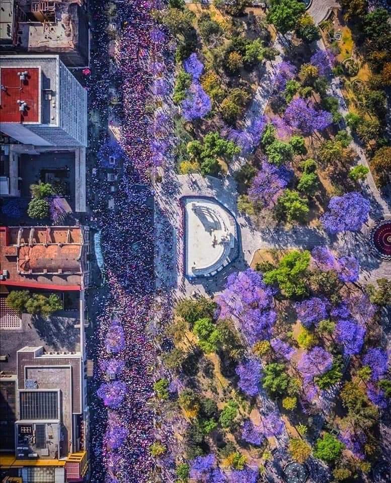 Las mujeres en la #CDMX dan una lección de sororidad y protesta en un marco de respeto