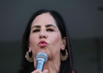 Lía Limón paga 22 millones de pesos a una sola empresa