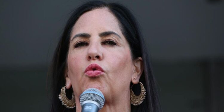 Lía Limón paga 22 millones de pesos a una sola empresa