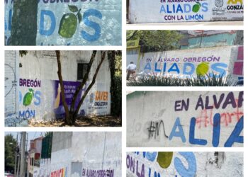 Lía Limón desvía 5 mdp para promocionarse en bardas