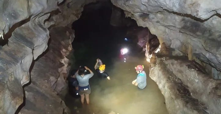 Plaguicidas; principal contaminante de Cenotes, aseguran especialistas y ONGs