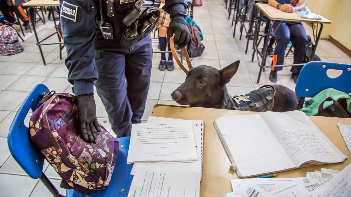 «Mochila Segura» criminaliza a las infancias: REDIM