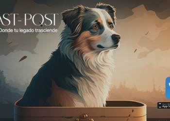 Mascotas abandonadas en México y Latam: Past Post ofrece un futuro mejor tras la muerte de sus dueños