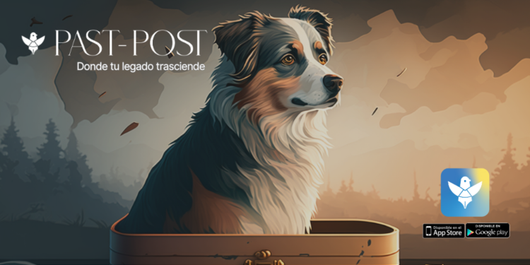 Mascotas abandonadas en México y Latam: Past Post ofrece un futuro mejor tras la muerte de sus dueños