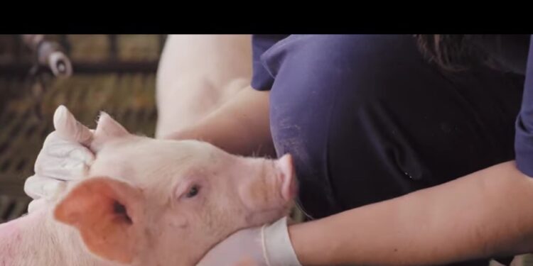 Transparencia y credibilidad de Kekén se impone ante perversa desinformación