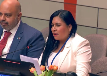 Ana Lilia Rivera demanda en la ONU alcanzar la paz y seguridad internacionales