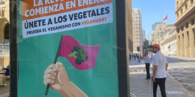 Campaña Enero Vegano se consolida en México con exitosos resultados