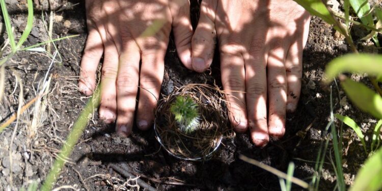 Ectagono explica cómo revertir la crisis ambiental en un escenario que parece no tener salida en el Día de la Tierra