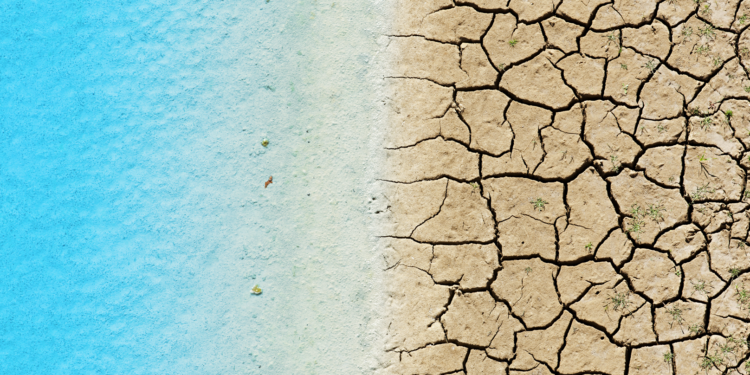 Veolia Water Technologies: la desalinización no es la única solución inmediata para la crisis del agua