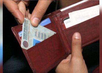 Voluntad de donar órganos estaría en licencia de conducir