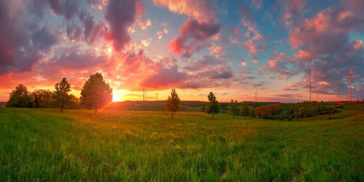 Sensormatic Solutions presenta la nueva etiqueta sostenible SPX AM, diseñada para proteger la mercancía y el medio ambiente