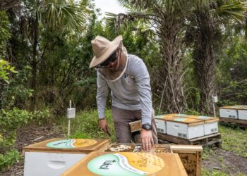 Tío Nacho refuerza su compromiso con la protección de las abejas