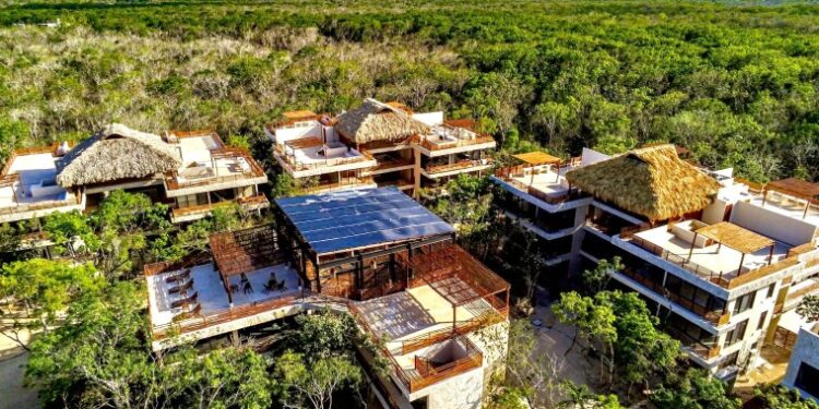 Compromiso con la sustentabilidad: Grupo Bienestar impulsa la conservación de la fauna endémica