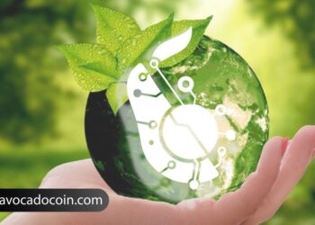 AvocadoCoin facilita la agricultura sostenible de aguacates a nivel global