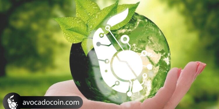 AvocadoCoin facilita la agricultura sostenible de aguacates a nivel global