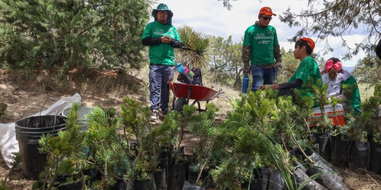 Iberdrola suma más de 1,800 acciones en biodiversidad en los últimos dos años, según informe de 2024