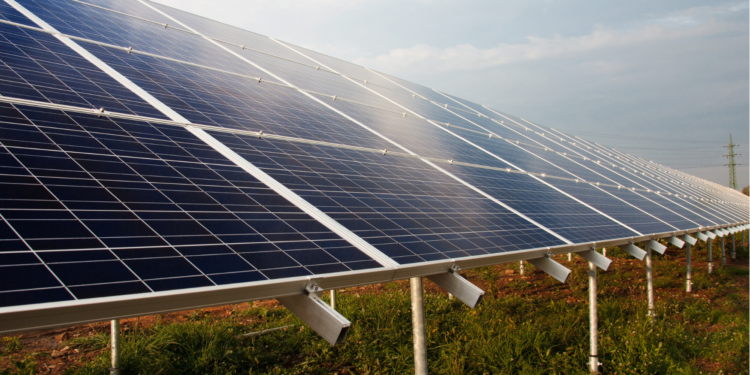 Grupo Modelo impulsará a las startups sostenibles a través de la iniciativa global Aceleradora 100+