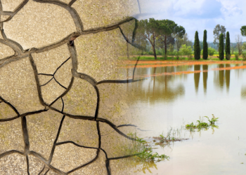 Veolia Water Technologies señala que «serían necesarios varios huracanes para aliviar escasez de agua»