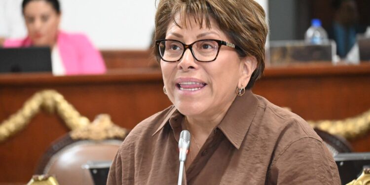 Gabriela Salido mete con calzador a la Comisión de Planeación en iniciativa de rentas