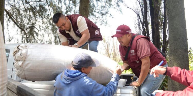 Sí habrá romeritos para Navidad
