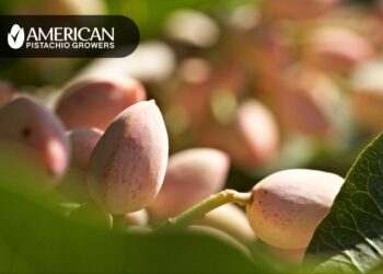 American Pistachio Growers destaca el impacto y potencial de la Industria del pistache en EE. UU.