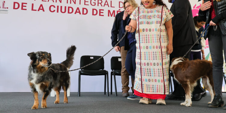 Anuncia Brugada hospital veterinario y 20 clínicas de atención animal