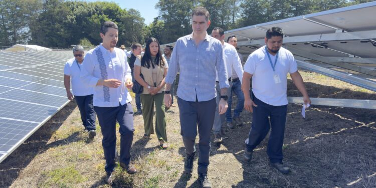 Bayer impulsa la sostenibilidad con nueva planta solar en su sitio de producción de semillas en Chiapas