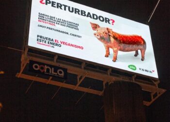 La presencia de Veganuary y su campaña siguen creciendo en Latinoamérica