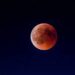 ¡Prepárate para la Espectacular ‘Luna de Sangre’ de Esta Noche!