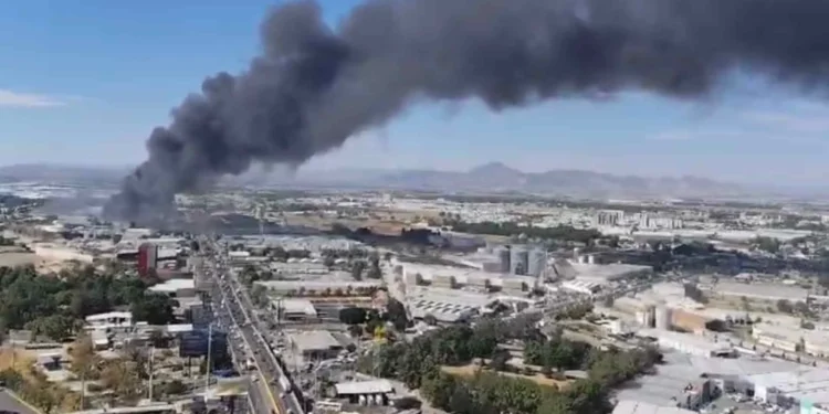 Más de 200 bomberos combaten incendio en el paraje Puerta de Guadalupe