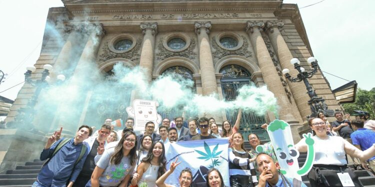 Van por protección de usuarios de cannabis