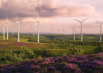 Inteligencia Artificial: el pilar de un sector energético eficiente y predictivo