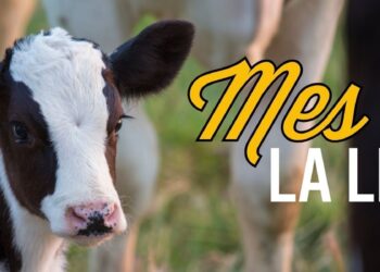 Real California Milk celebra el Mes Internacional de la Leche con sabor, salud e historia