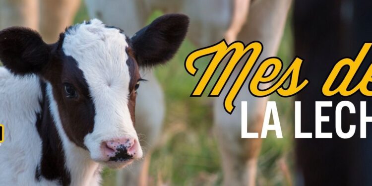 Real California Milk celebra el Mes Internacional de la Leche con sabor, salud e historia