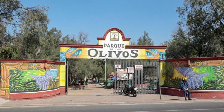 Urge rescatar el Parque de los Olivos en Tláhuac