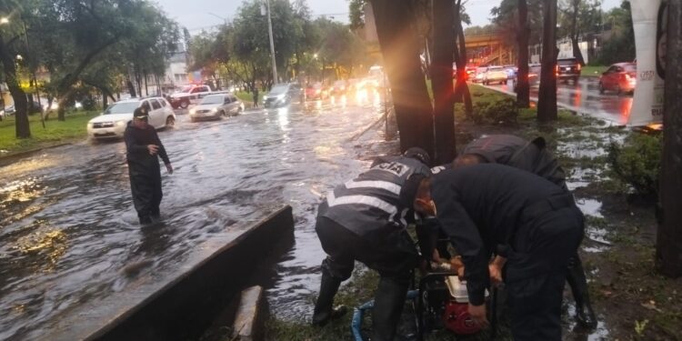 Lluvias dejan 15 árboles caídos e inundaciones