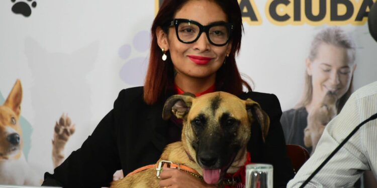 ¡Los Ojos de la Capital!