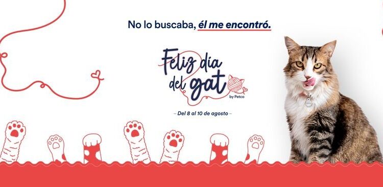Día Internacional del Gato: PETCO reafirma su compromiso con el bienestar y el cuidado de los felinos