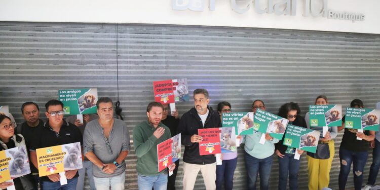 Crueldad en venta: el negocio de las mascotas