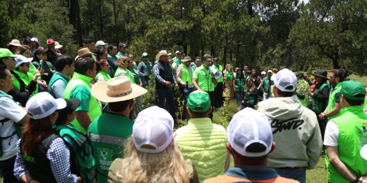 «Un voto, un árbol», PVEM cumple promesa y reforesta Tlalpan