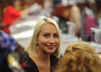 Árbol talado, árbol plantado: sí a construcciones pero a cambio de reforestar