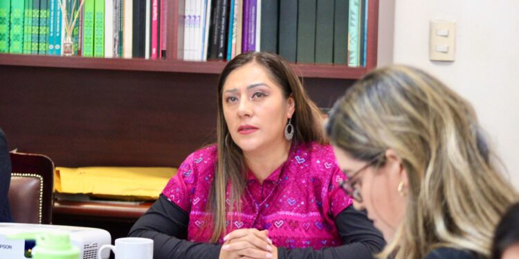 Diputada Xóchitl Bravo exige respeto absoluto a derechos en CDMX