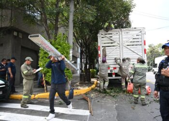 ¡Manos a la Obra! Ale Rojo de la Vega transforma la Colonia Buenos Aires