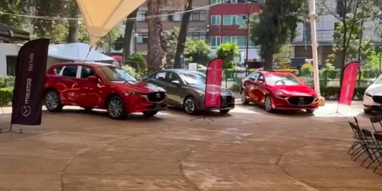 Movimiento Ciudadano exige transparencia por uso comercial del parque Arboledas