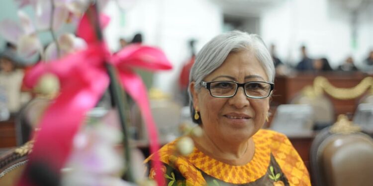 Propone diputada nueva ley para frenar violencia en Xochimilco