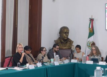 Dolores González Saravia se perfila como presidenta de la CDHCM