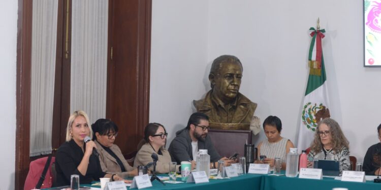 Dolores González Saravia se perfila como presidenta de la CDHCM