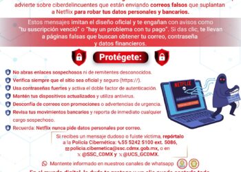 Caen correos falsos de “Netflix”