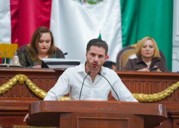 Avanza prohibición de exhibir perros y gatos en venta en CDMX